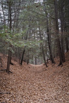 Easthampton, Mass.