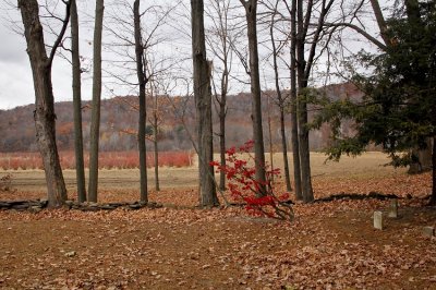 Feeding Hills, Mass.