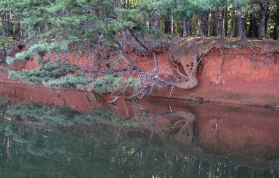 The Red Cliffs of Martinsville