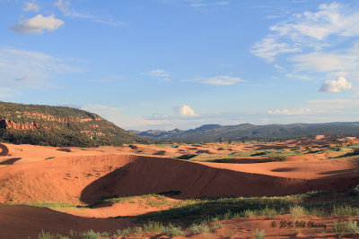 Coral Dunes