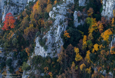 Gole del Verdon - Provenza