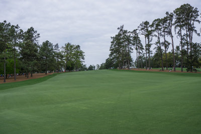 augusta-0016-9-crw.jpg