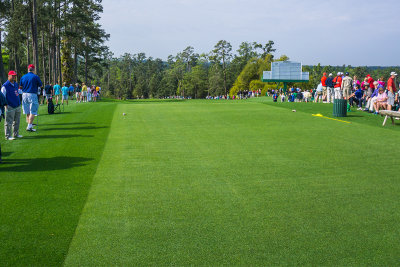 augusta-0032-10-tee.jpg