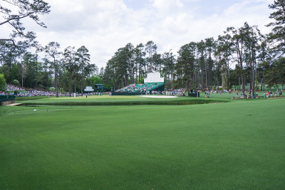 augusta-009-15-gr.jpg