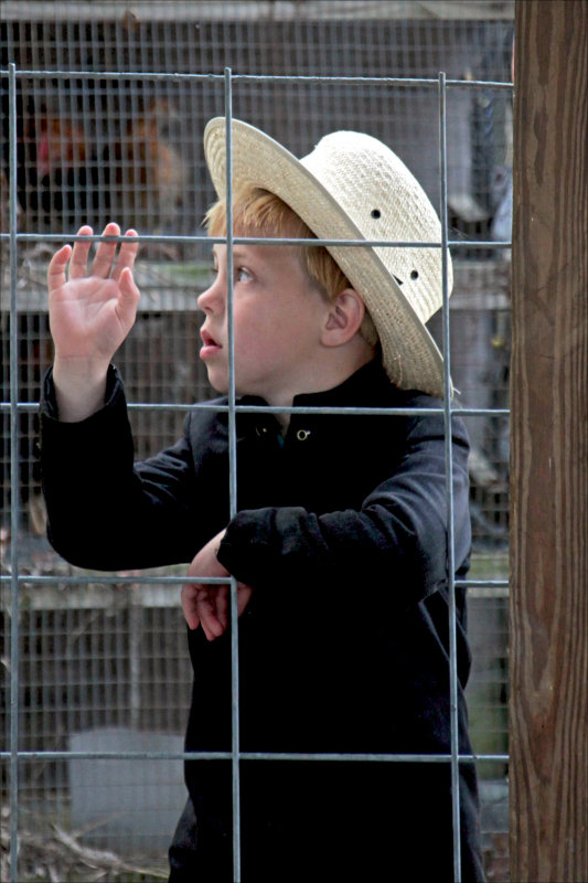 Hanging out near the poultry cages.