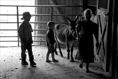 Three children and a Donkey
