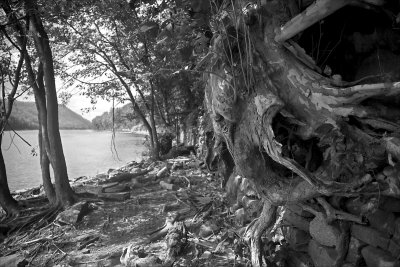 Along the banks of the Susquehanna.jpg