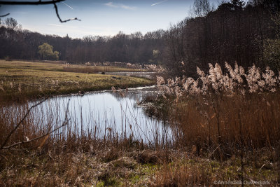 landschap