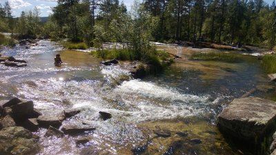 WP_20130802_034.jpg
