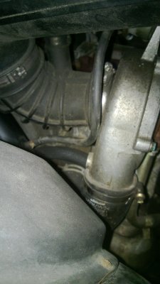 WP_20130812_018.jpg