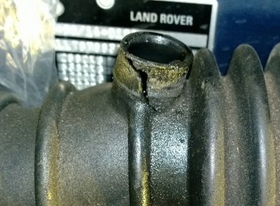 WP_20131209_022.jpg