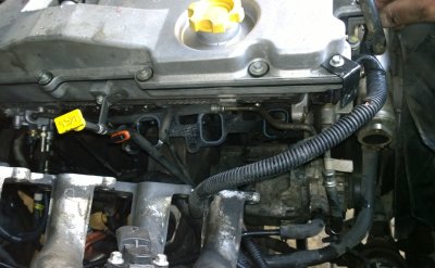 WP_20140608_015.jpg