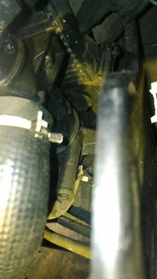 WP_20140613_009.jpg
