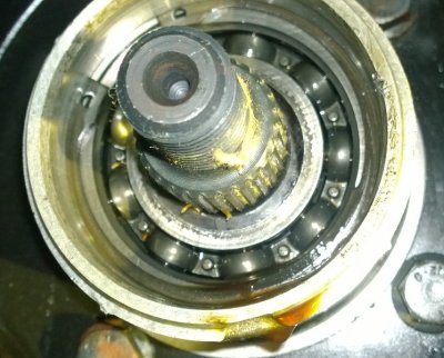 WP_20140616_021.jpg