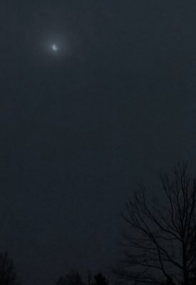 WP_20150320_10_46_18_Pro.jpg