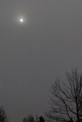WP_20150320_10_46_38_Pro.jpg