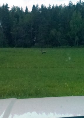 WP_20150522_21_39_17_Pro.jpg