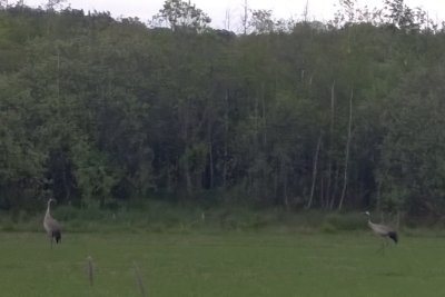 WP_20150524_19_28_54_Pro.jpg