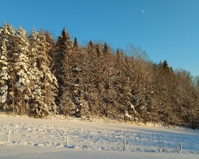WP_20170105_14_09_16_Pro.jpg