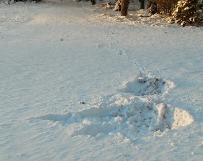 WP_20170105_14_17_45_Pro.jpg