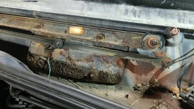 WP_20170115_12_10_21_Pro.jpg
