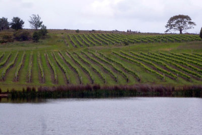 Tasmanian wineries