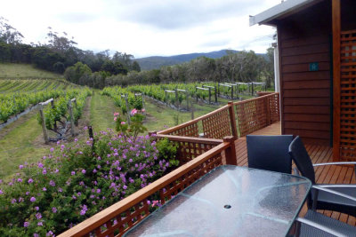 Tasmanian wineries 3