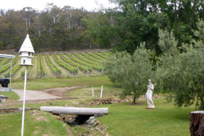 Tasmanian wineries: Freycinet 4