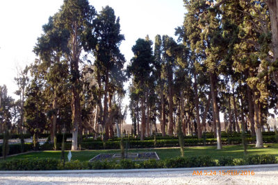 4080_Fin Garden 4