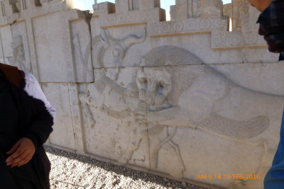 6750_Persepolis 14