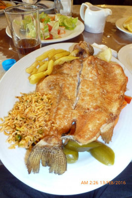 9006_Food Fish Day 1