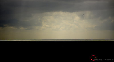 Horizon