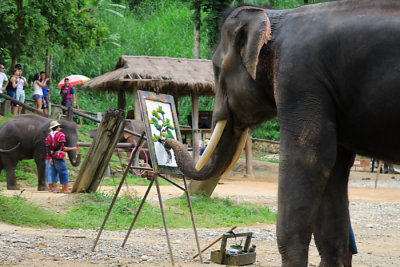 Elephant art 0782 VIDEO