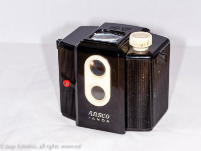 Ansco Panda