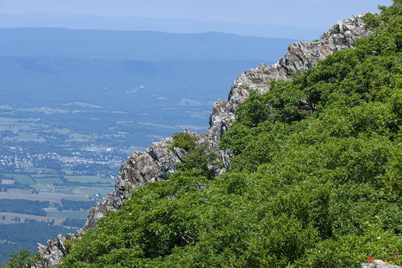 Little Stoney Man Mountain from Stoney Man Mountain (DS0060)