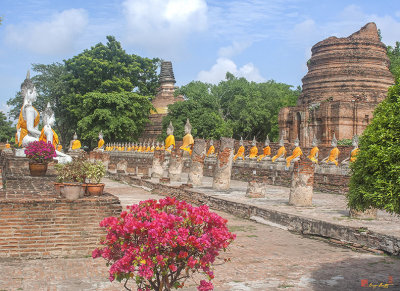 Wat Phra Chao Phya-Thai Buddha Images and Ruined Chedi (DTHA004)