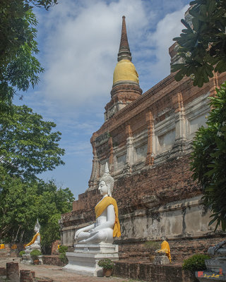 Wat Phra Chao Phya-Thai Buddhas and Great Chedi Wall (DTHA008)
