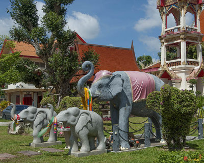 Wat Chalong Elephant Tribute (DTHP046)