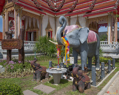 Wat Chalong Elephant Tribute (DTHP404)