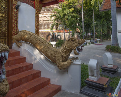Wat Umong Mahathera Chan Phra Ubosot Makara (Sea Dragon) (DTHCM0312)