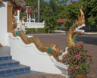 Wat Ban Ping Phra Ubosot Naga (DTHCM0332)
