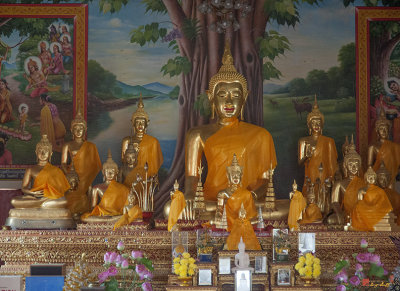 Wat Dok Eung Phra Wihan Buddhas (DTHCM0345)