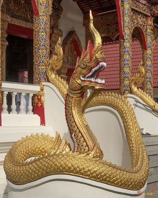 Wat Dok Eung Phra Wihan Naga (DTHCM0349)