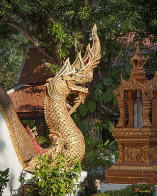 Wat Sri Soda Phra Ubosot Boundary Stone and Stair Naga (DTHCM0448)