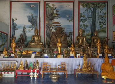 Wat Sri Soda Wihan Interior (DTHCM0450)
