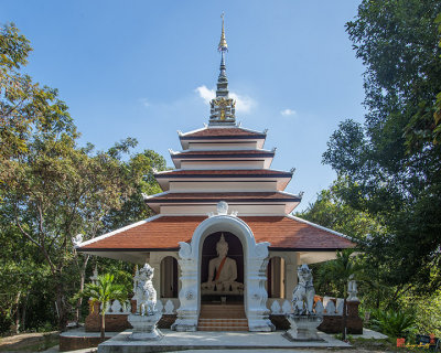 Wat Pha Lat Buddha Shrine (DTHCM0458)