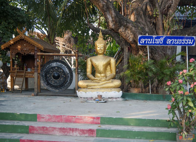 Wat Pan Whaen Bodhi Tree and Spirit House (DTHCM0551)