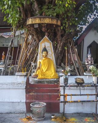 Wat Muen Ngen Kong Bodhi Tree Buddha Shrine (DTHCM0613)
