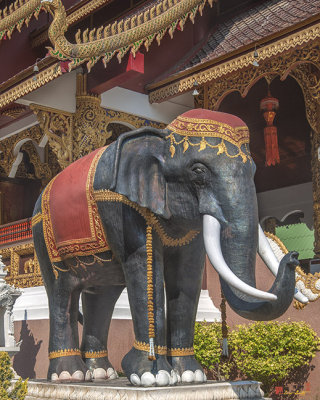Wat Saen Muang Ma Luang Elephant Statue (DTHCM0632)