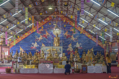 Wat Thung Setthi Wihan (DTHB1585)